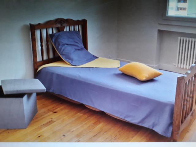 Location appartement T2 St Etienne - Photo 3