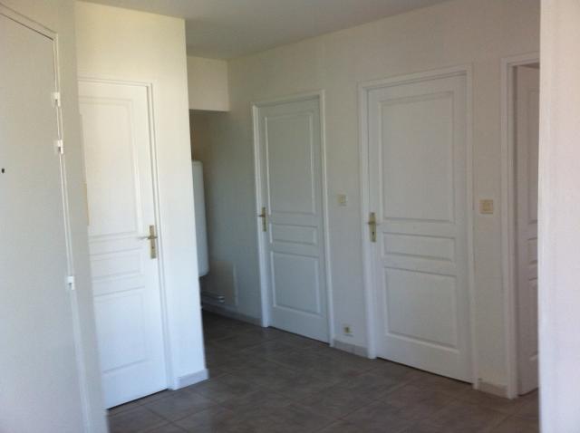 Location appartement T3 Lyon 7 - Photo 3