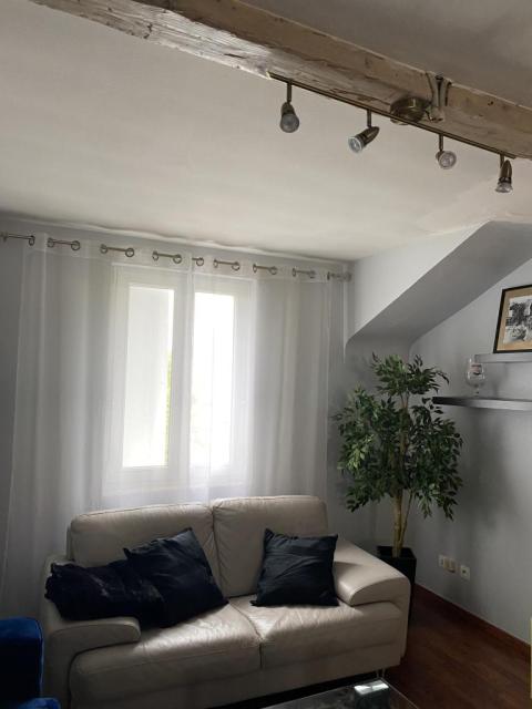 Location appartement T2 Strasbourg - Photo 3