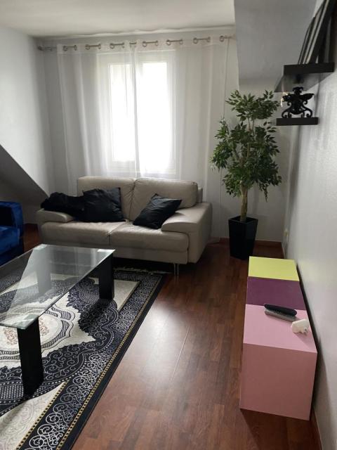 Location appartement T2 Strasbourg - Photo 7