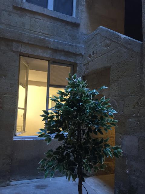 Location studio Bordeaux - Photo 2