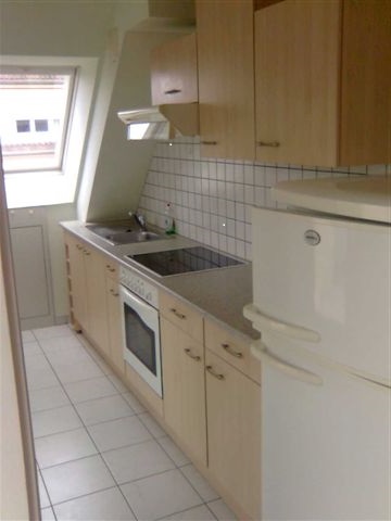 Location appartement T3 Strasbourg - Photo 3