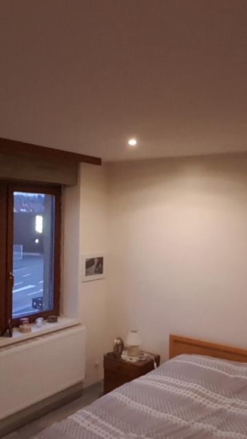 Location appartement T3 Haguenau - Photo 1