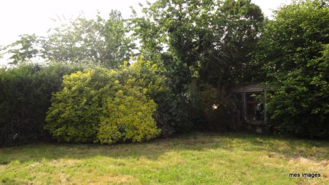 Location maison F6 Betton - Photo 3