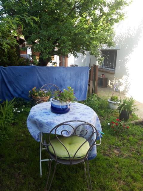Location appartement T2 Savigny sur Orge - Photo 2