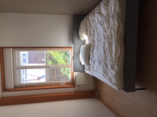 Location appartement T3 Lille - Photo 6