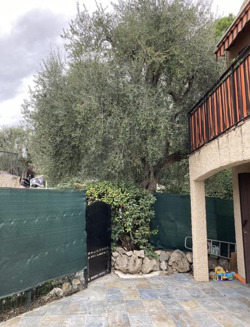 Location appartement T3 Vence - Photo 6