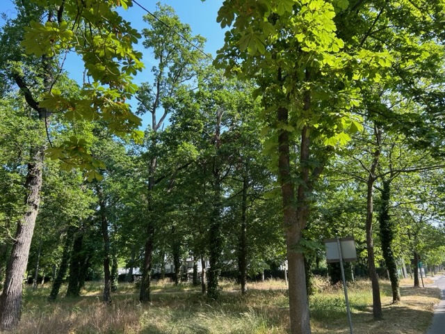 Location studio Maisons Laffitte - Photo 7