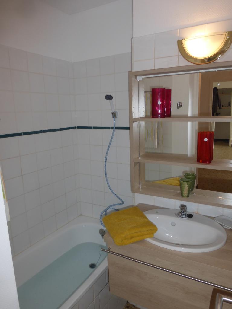 Location chambre Grenoble - Photo 1