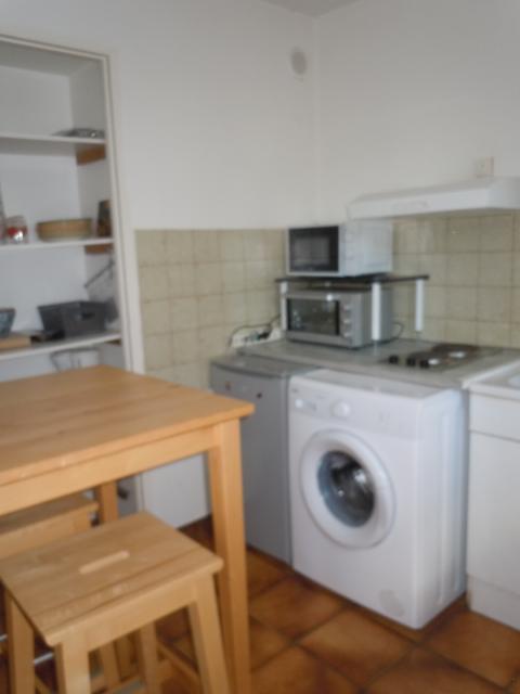Location appartement T3 Grenoble - Photo 3