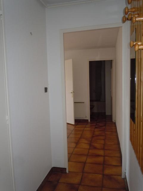 Location appartement T3 Grenoble - Photo 6