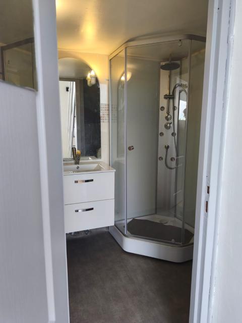 Location appartement T2 Faches Thumesnil - Photo 4