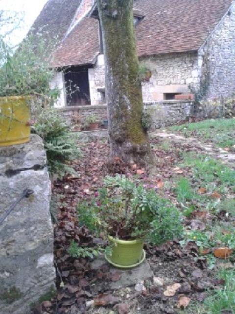 Location maison F3 Tourtoirac - Photo 3
