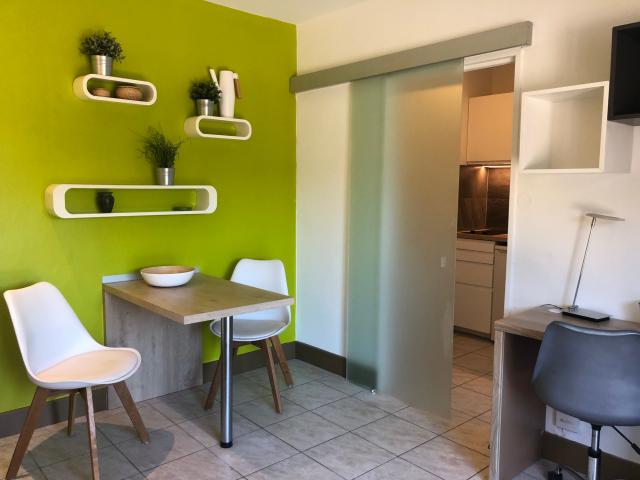 Location appartement T1 Montpellier - Photo 6