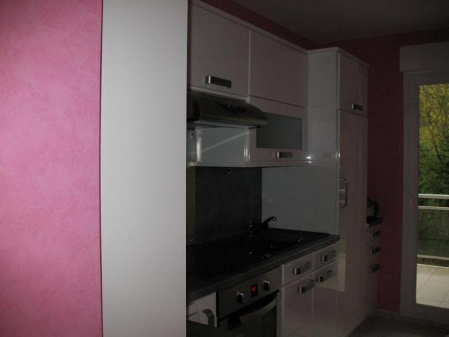 Location appartement T3 Pfastatt - Photo 3
