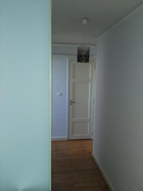 Location appartement T3 Cusset - Photo 3