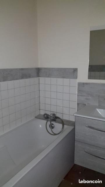 Location appartement T3 Epinal - Photo 4