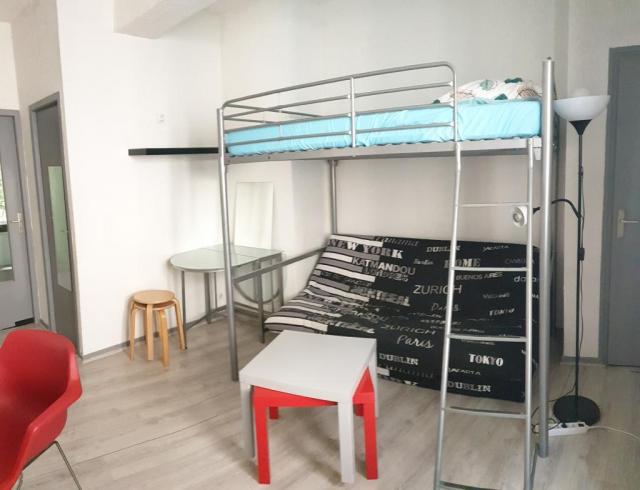 Location appartement T1 Grenoble - Photo 6