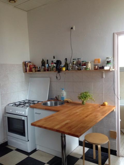 Location appartement T2 St Georges d'Orques - Photo 2