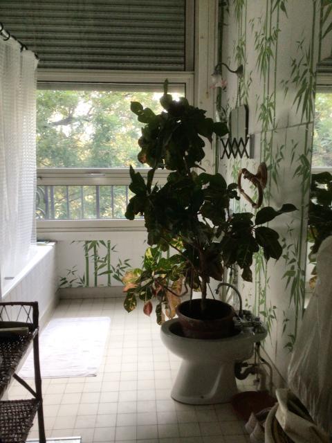 Location chambre Neuilly sur Seine - Photo 2