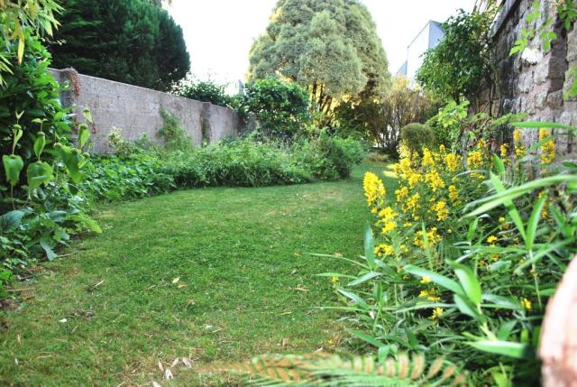 Location appartement T2 Morlaix - Photo 6
