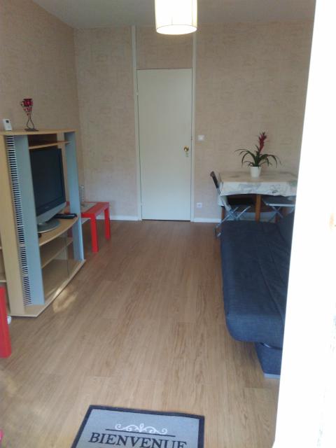 Location appartement T2 Six Fours les Plages - Photo 2