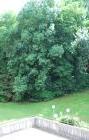 Location appartement T1 Besancon - Photo 2