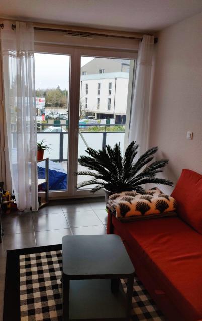 Location appartement T2 Colmar - Photo 3