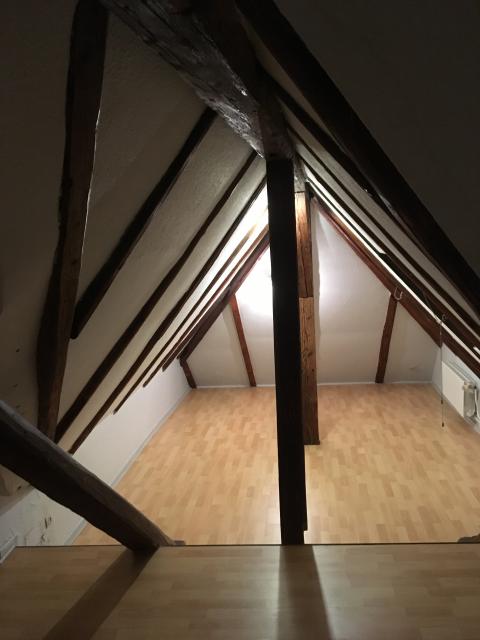 Location appartement T3 Sarrebourg - Photo 3
