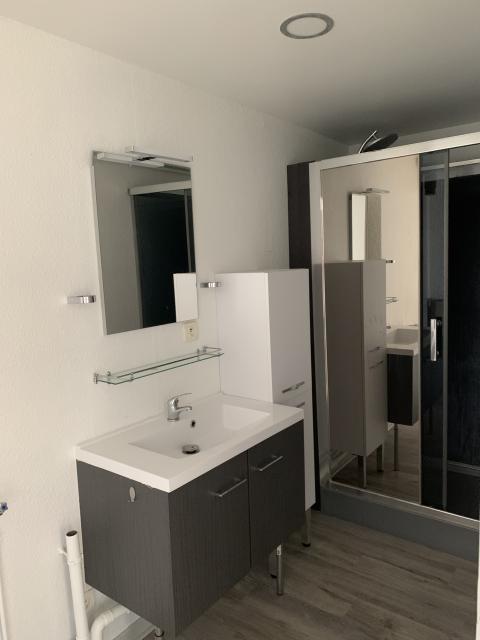 Location appartement T3 Sarrebourg - Photo 6