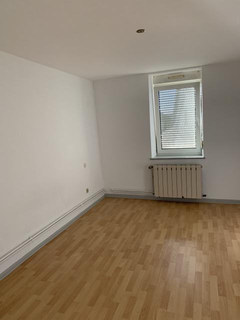 Location appartement T3 Sarrebourg - Photo 9