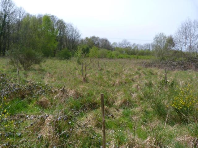 Location maison F5 Le Faouet - Photo 4