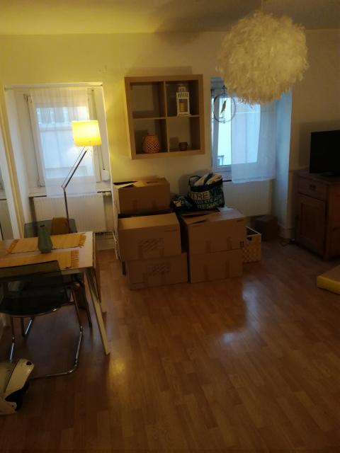 Location appartement T2 Strasbourg - Photo 2