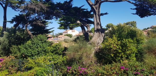 Location appartement T2 Six Fours les Plages - Photo 6