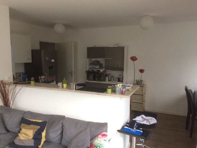 Location appartement T2 Nantes - Photo 2