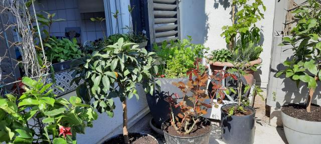 Location appartement T2 Marseille 01 - Photo 8