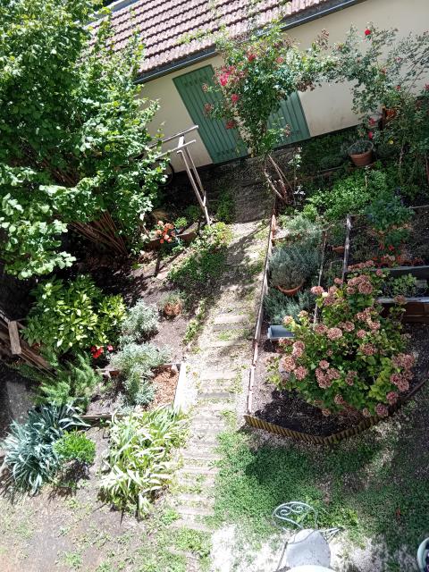 Location appartement T3 Nancy - Photo 8