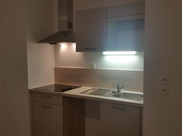 Location appartement T2 Nantes - Photo 3