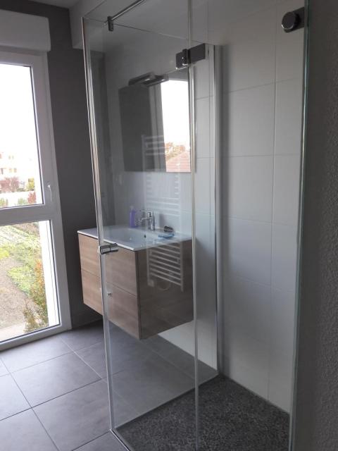 Location appartement T3 Colmar - Photo 3