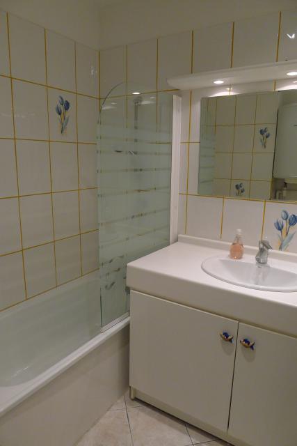 Location appartement T1 Marseille 04 - Photo 3