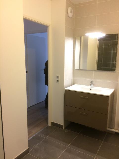 Location appartement T3 Rouen - Photo 9