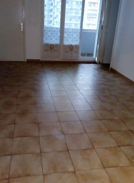 Location appartement T4 Grenoble - Photo 6