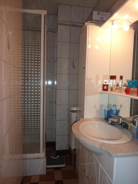 Location appartement T3 Grenoble - Photo 2