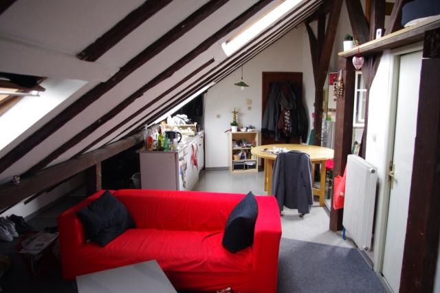 Location appartement T2 Strasbourg - Photo 4