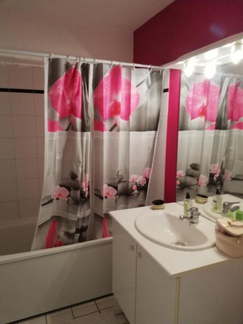 Location appartement T2 Sens - Photo 4