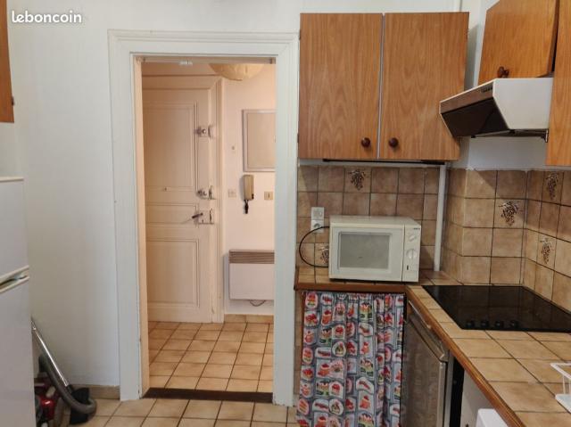 Location appartement T1 Schiltigheim - Photo 2