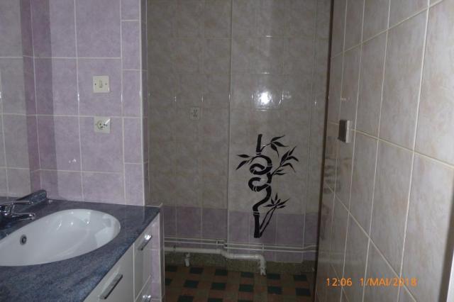 Location appartement T3 Grenoble - Photo 4
