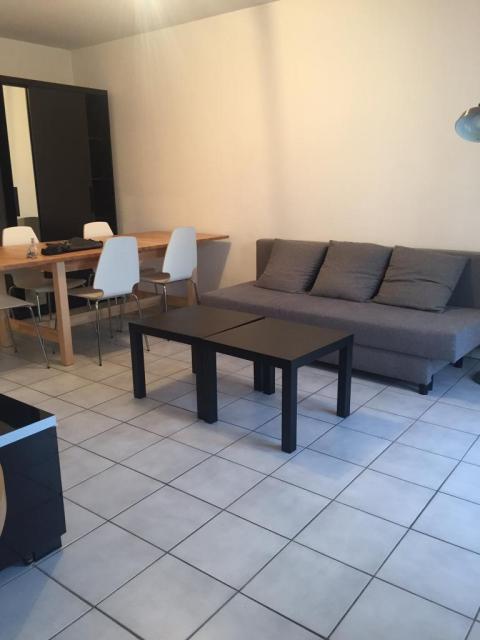 Location appartement T3 Grenoble - Photo 4