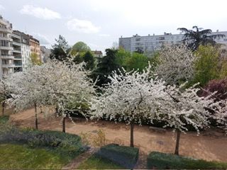 Location appartement T3 Lyon 8 - Photo 2