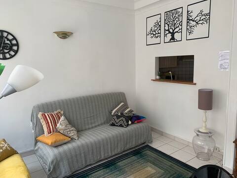 Location appartement T3 Grenoble - Photo 5